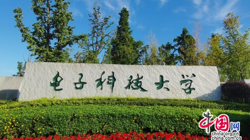 揭秘电子代工企业排名：揭秘背后的技术实力与市场策略