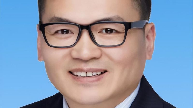 高压二极管耐压值：揭秘其重要性及选择标准**